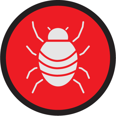 bed bugs red icon